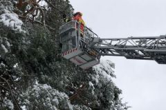 IMG-20220402-WA0012