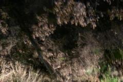 IMG-20220103-WA0000