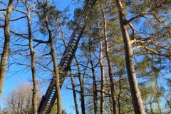 IMG-20220416-WA0005