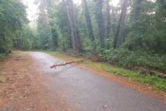 IMG-20220917-WA0008