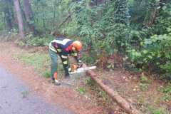IMG-20220917-WA0010