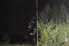 IMG-20210819-WA0005