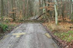IMG-20221229-WA0001-Kopie