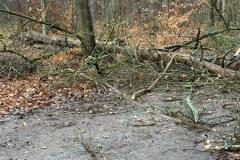 IMG-20221229-WA0013-Kopie