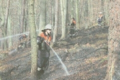 Waldbrand Amorbach-1