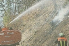 Waldbrand Amorbach-3