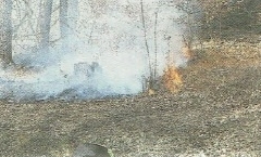 Waldbrand Amorbach-4