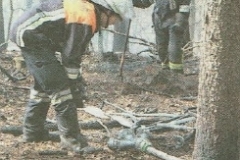 Waldbrand Amorbach-7