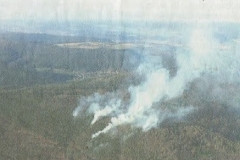 Waldbrand Amorbach-8