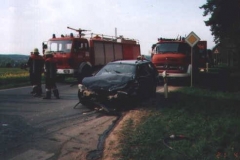 21042003 (13)