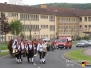 Maibaum 2010