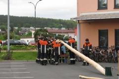2010_Maibaum_(10)