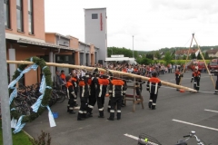 2010_Maibaum_(16)
