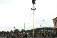 2010_Maibaum_(21)