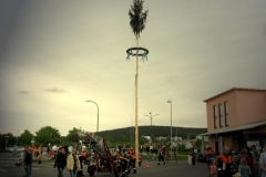 2010_Maibaum_(23)