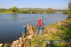 2011_Maiuferpflege_(1)
