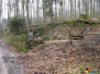 Renovierung Grotte