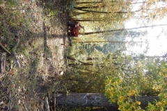 DSCN1331