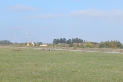 DSCN1332