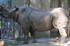 zeltlager_2013_zoo_14_20160522_1022804661