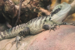 zeltlager_2013_zoo_27_20160522_1514755660