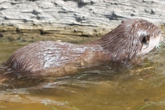 zeltlager_2013_zoo_34_20160522_1951742728